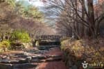 상소동 산림욕장 (11)