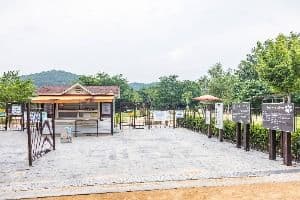 인천_인천대공원 반려동물 놀이터 (8)