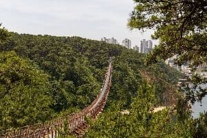 대왕암공원 출렁다리 (2)