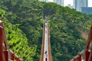 대왕암공원 출렁다리 (4)
