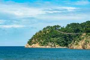 대왕암공원 출렁다리 (5)