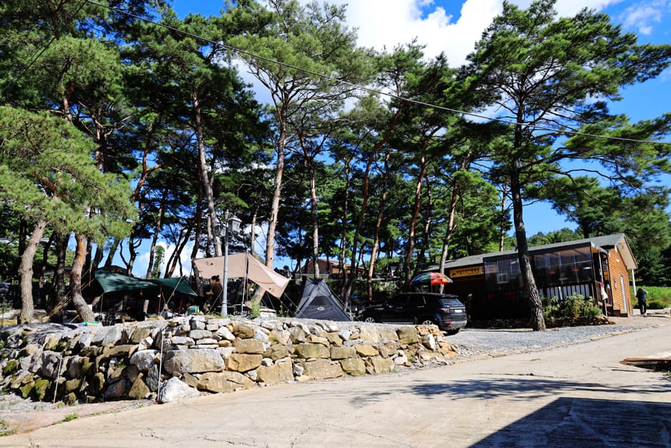 강원도_영월군_영월한반도캠핑장_전경 (1)