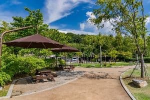 용인_기흥레스피아호수공원 (2)