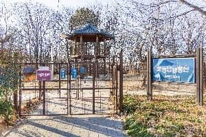 포항_포항댕댕동산 (2)
