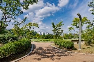 용인_기흥레스피아호수공원 (5)