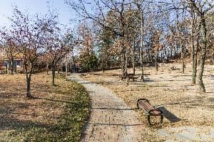 포항_포항댕댕동산 (3)