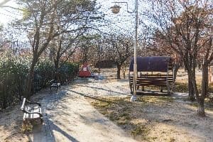 포항_포항댕댕동산 (5)