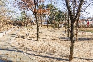 포항_포항댕댕동산 (6)