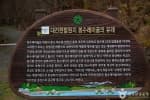 대전_동구_만인산 자연휴양림 (2)