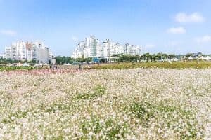 양주_나리농원 (3)