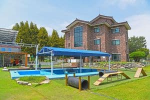 전북_익산_PTP 애견테마파크 (2)