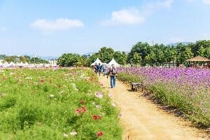 양주_나리농원 (6)