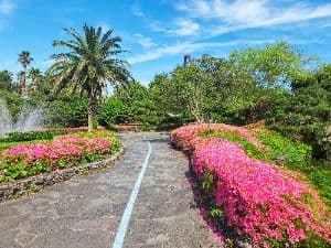 서귀포_일출랜드 (4)