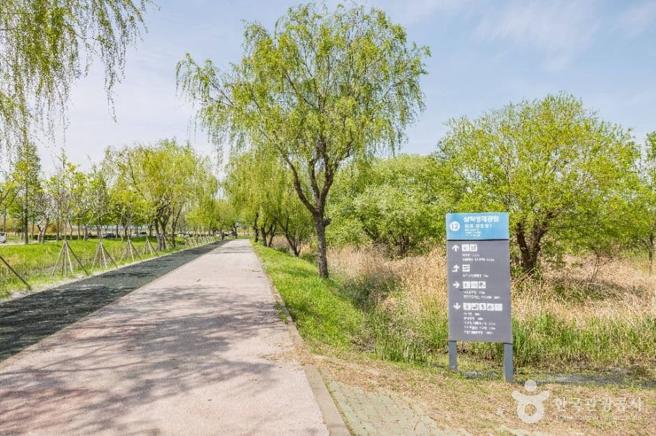 부산_삼락생태공원 (11)