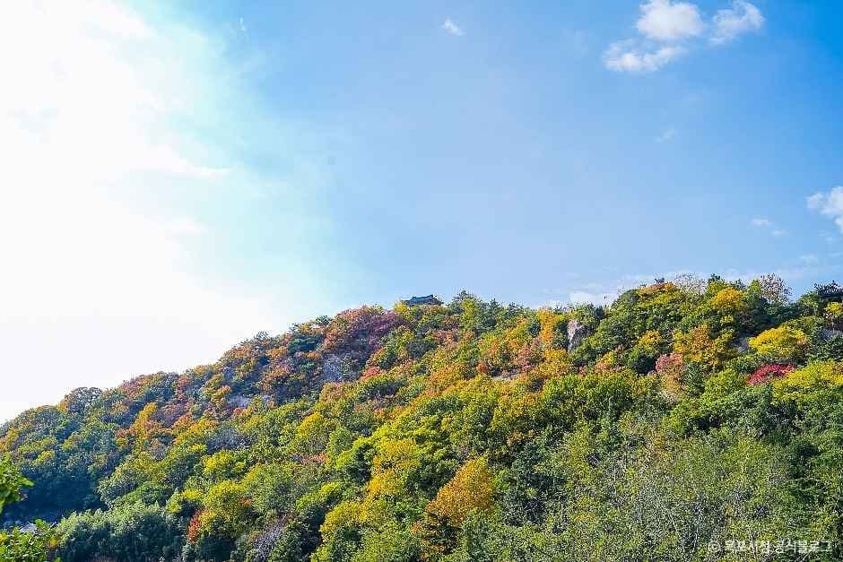 목포_유달산 (2).jpg