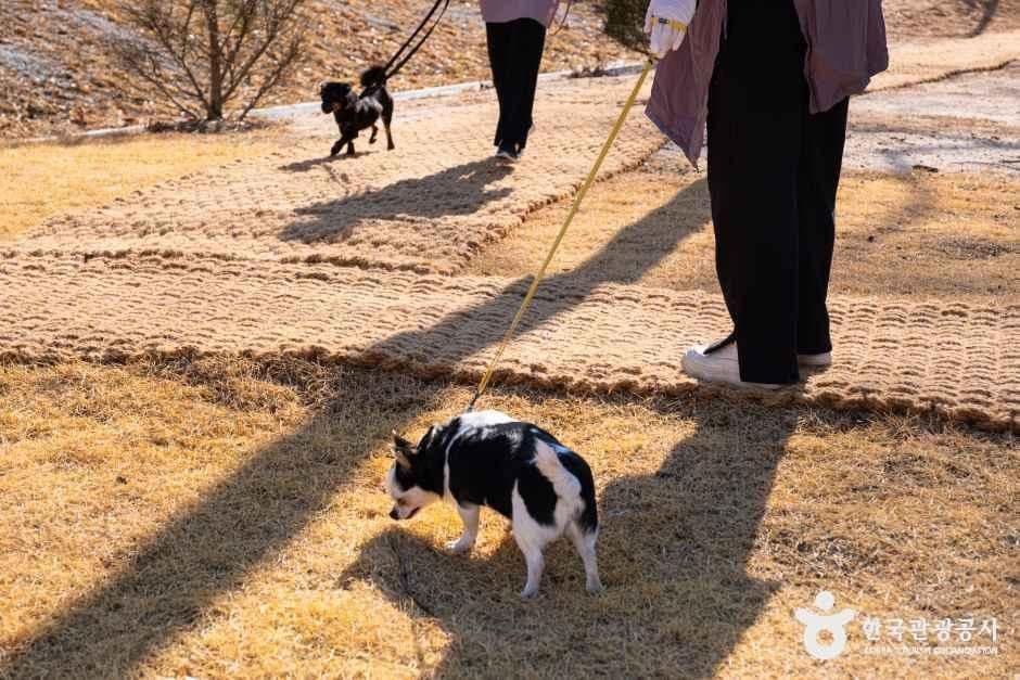 경기_여주_반려마루_외부_2.jpg