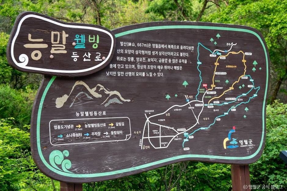 영월_물무리골생태습지 (15)