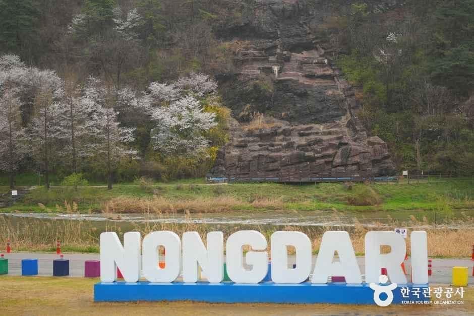 충북_진천_진천 농다리_외부_1.JPG