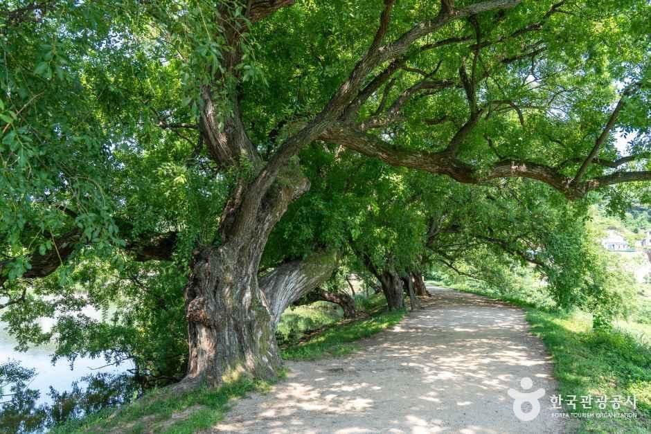 경북_경산_반곡지_외부_06.jpg