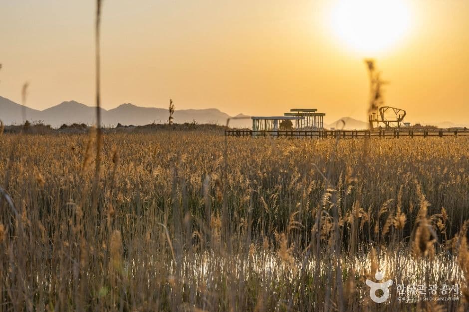 부산_다대포해수욕장 (2)
