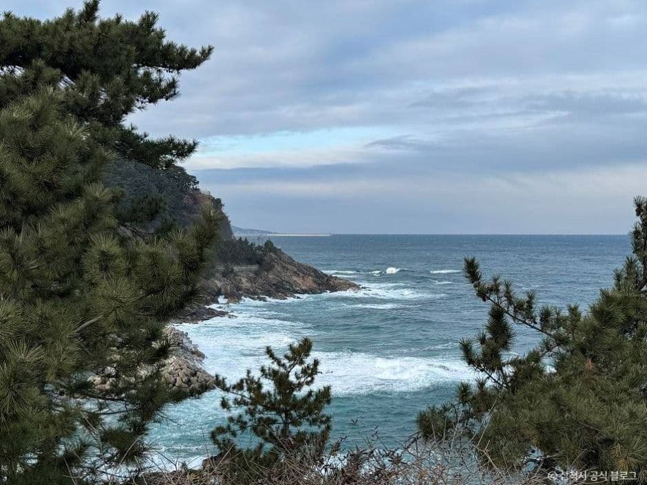 삼척_이사부길(새천년해안도로) (7)