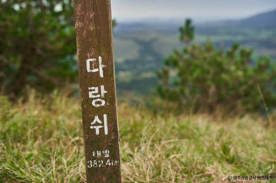 제주_다랑쉬오름(월랑봉) (3)