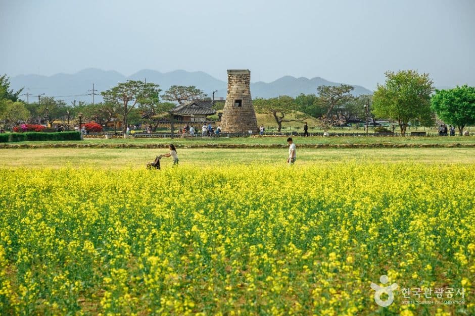 첨성대 (3)