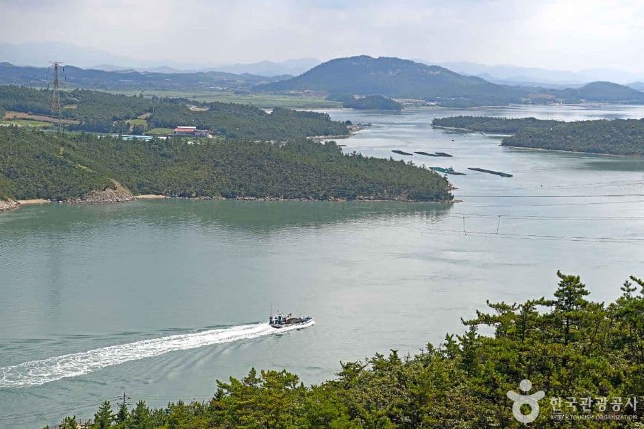 진도_명량해협 울돌목 (4)