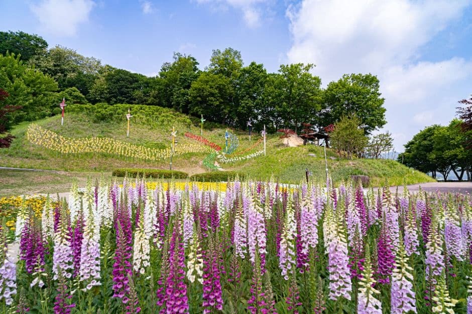 용인 8경_4경 용인농촌테마파크 (2)