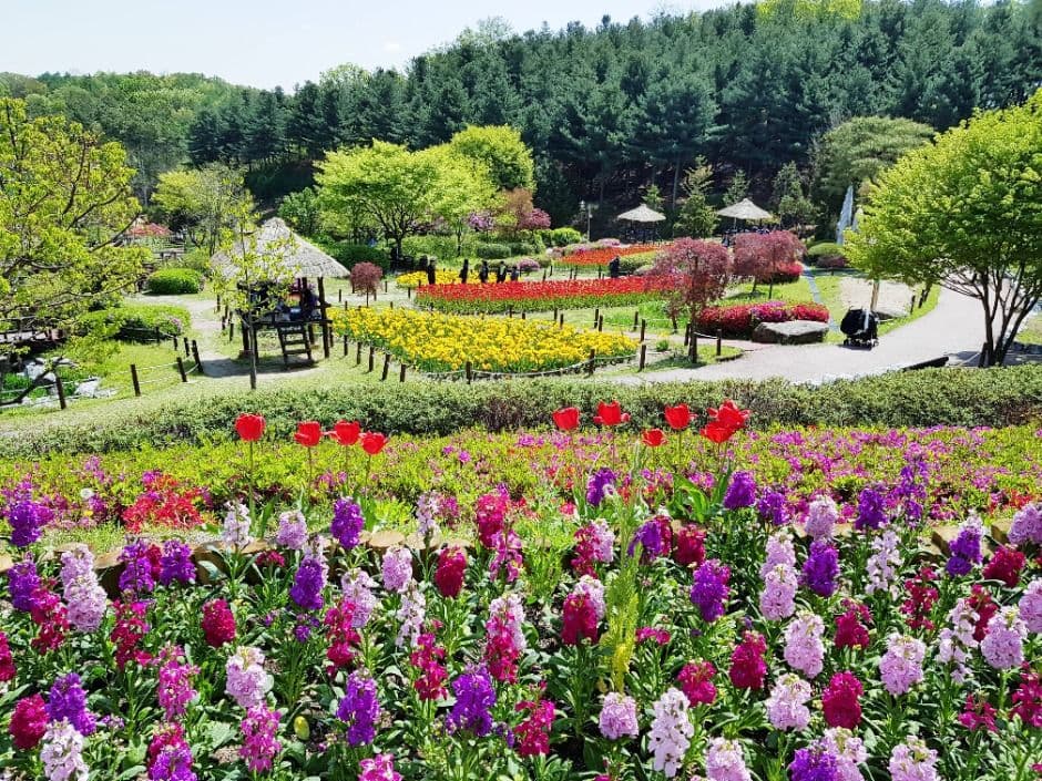용인 8경_4경 용인농촌테마파크 (3)