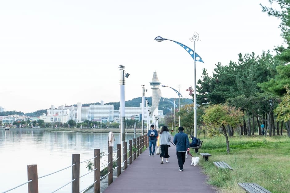 청초호 호수공원_2