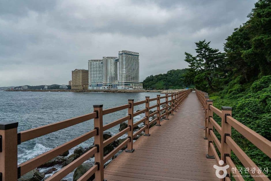 속초 외옹치 바다향기로 (1)