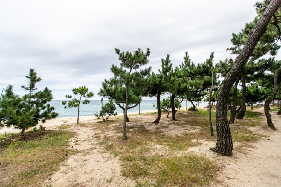 송정해변_10