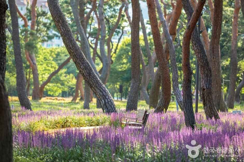 황성공원