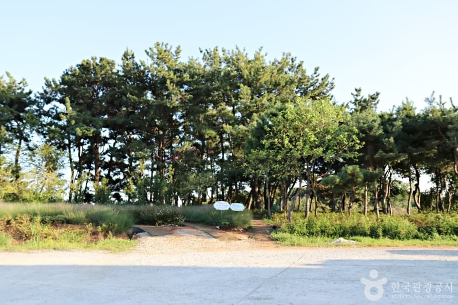 N02409_전북_익산_신흥근린공원20