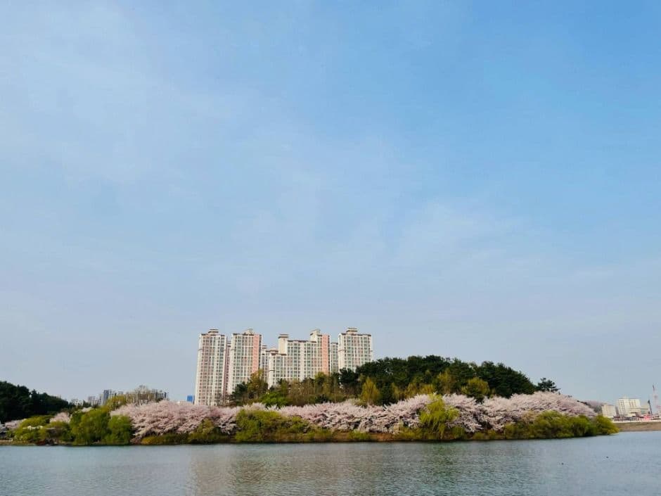 울산_선암호수공원 (6)