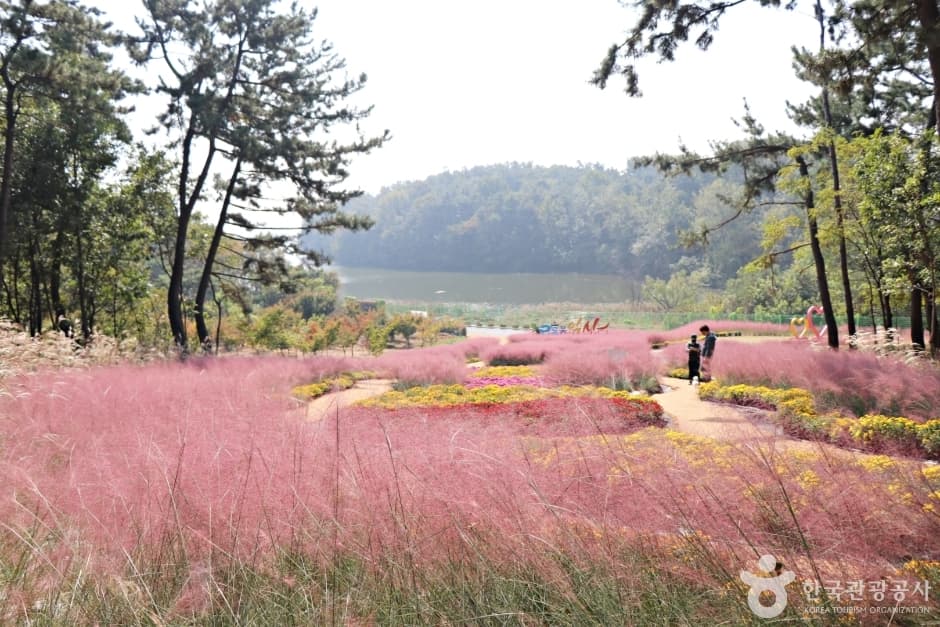 N02409_전북_익산_신흥근린공원1