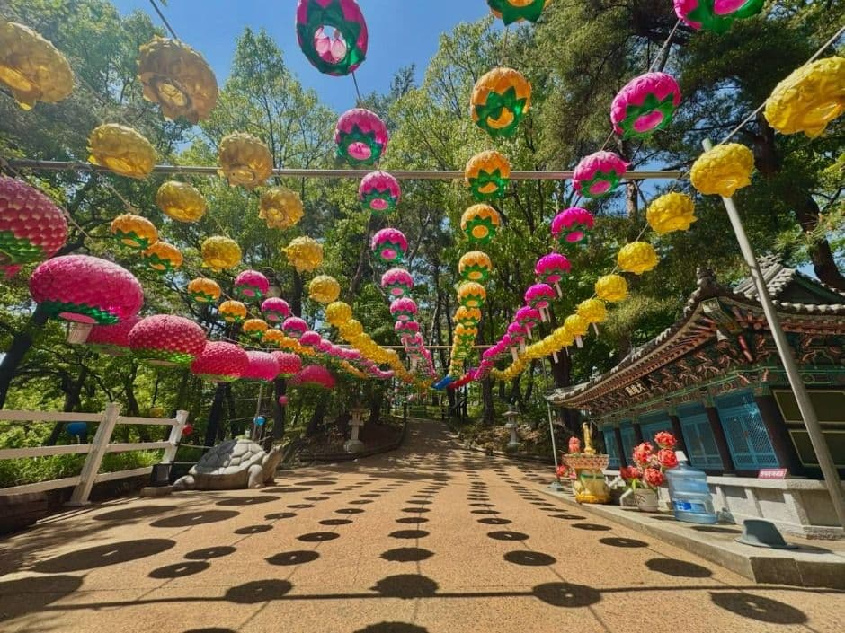 울산_선암호수공원 (8)