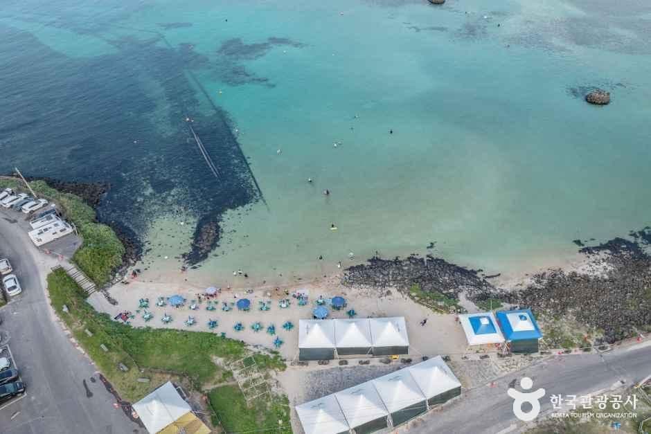 제주_제주신흥해수욕장 (5).jpg