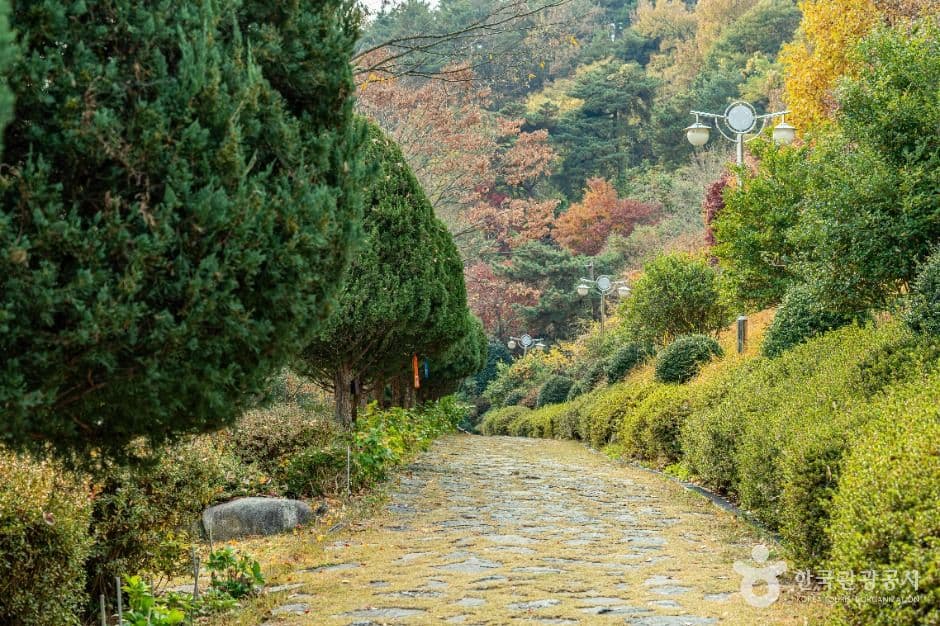 영광_백제불교최초도래지 (1)