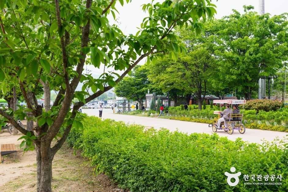 경기_구리_구리한강시민공원(코스모스공원)_외부_1.jpg