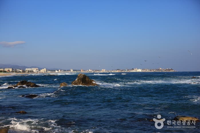 영진해변