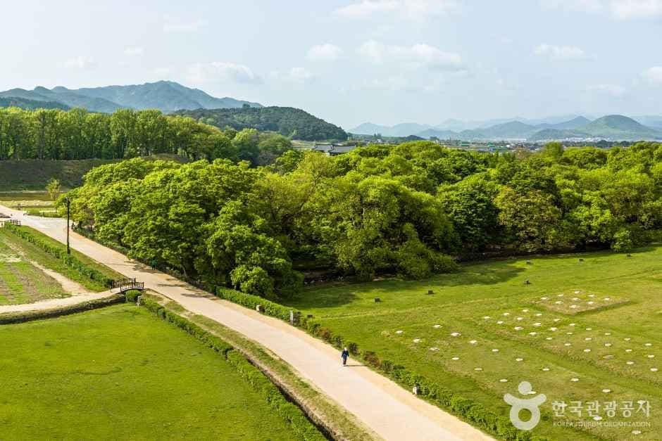 경주 계림 (3)