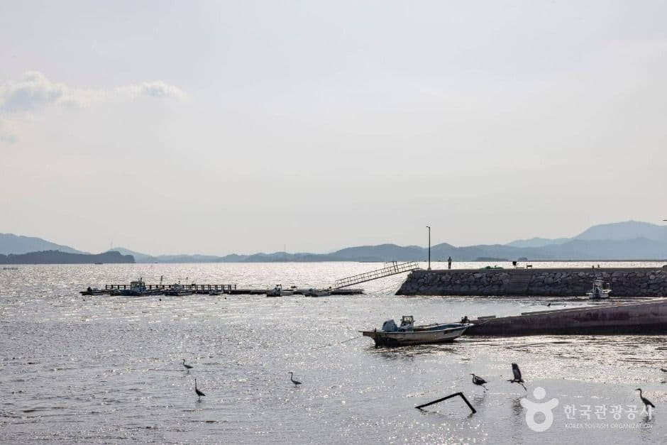 순천_화포해변 (3)