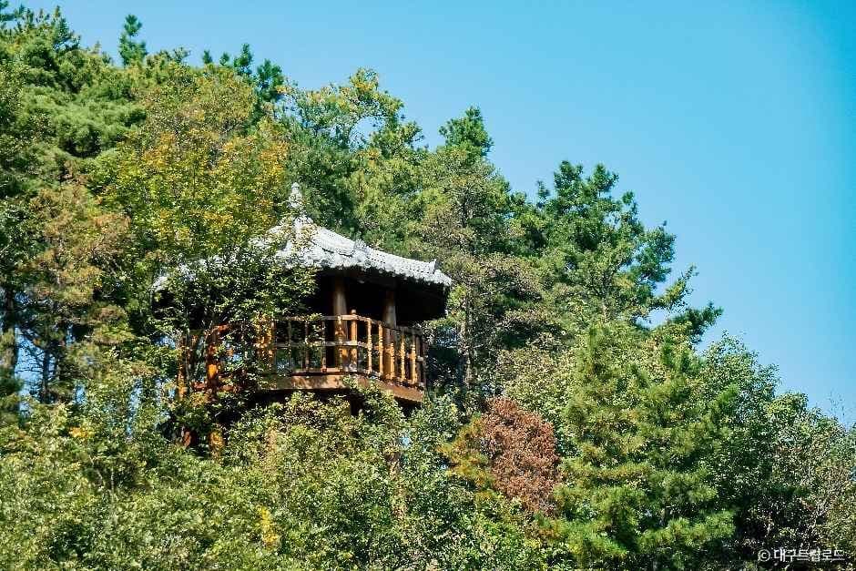 달성_옥연지 송해공원 (1).jpg