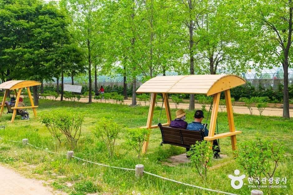 경기_구리_구리한강시민공원(코스모스공원)_외부_5.jpg
