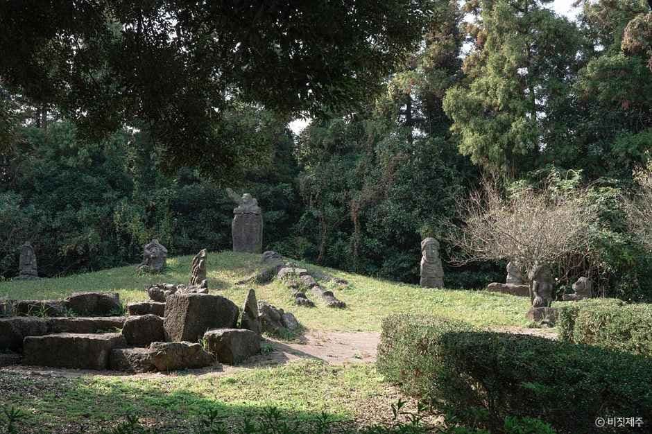 제주_메이즈랜드 (1).jpg