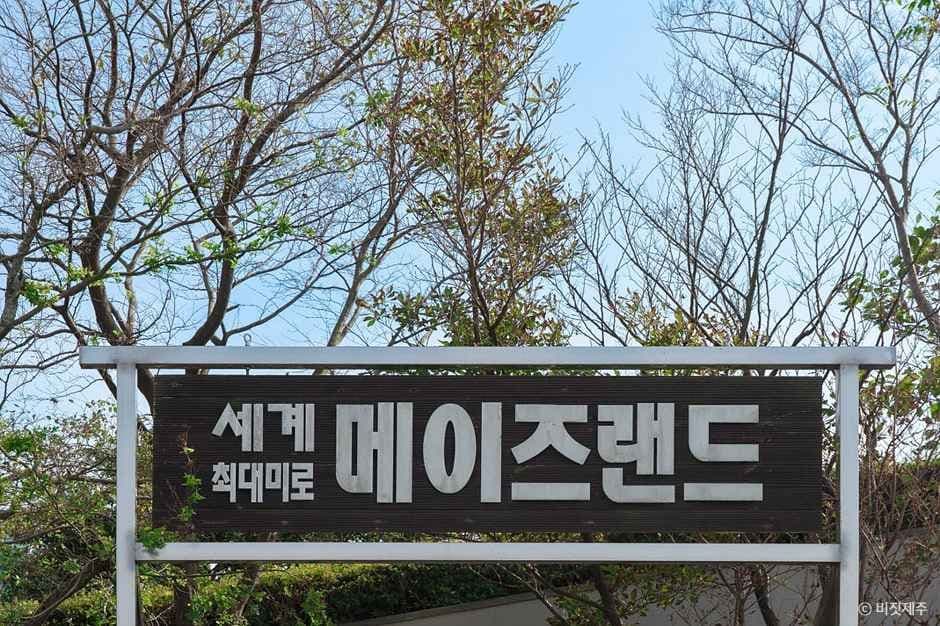 제주_메이즈랜드 (2).jpg