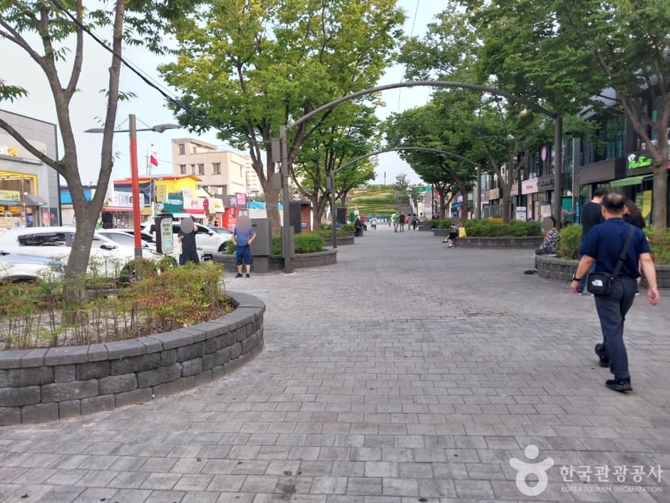 강릉 월화거리_4