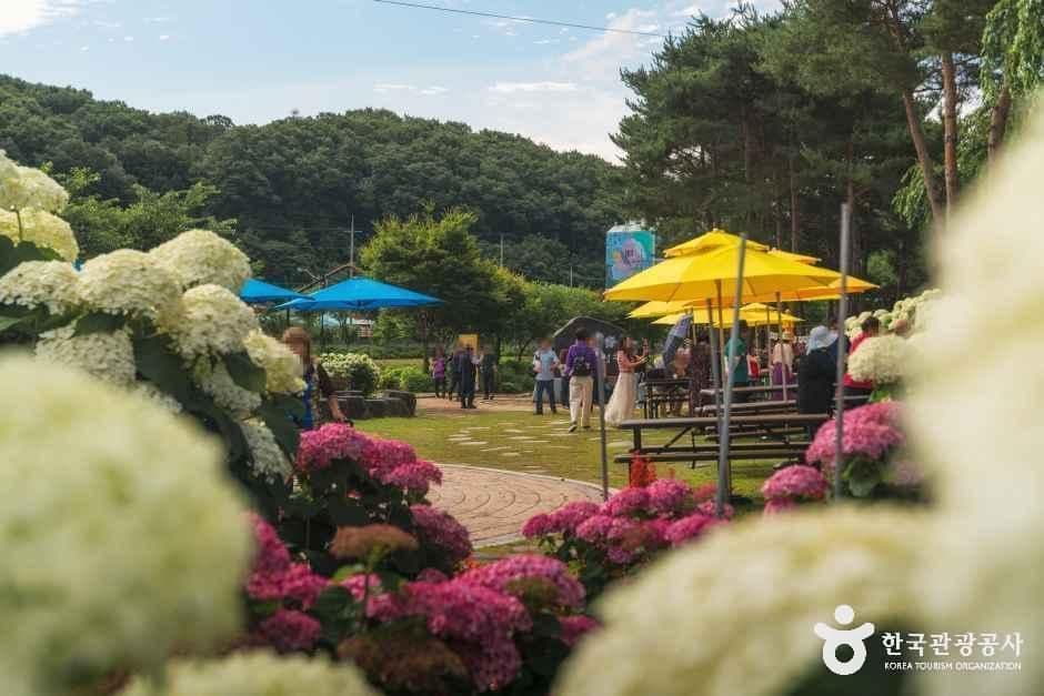 충남_공주_유구색동수국정원_외부_1.jpg